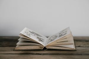 annie-spratt-IQrPWwuTf5M-unsplash
