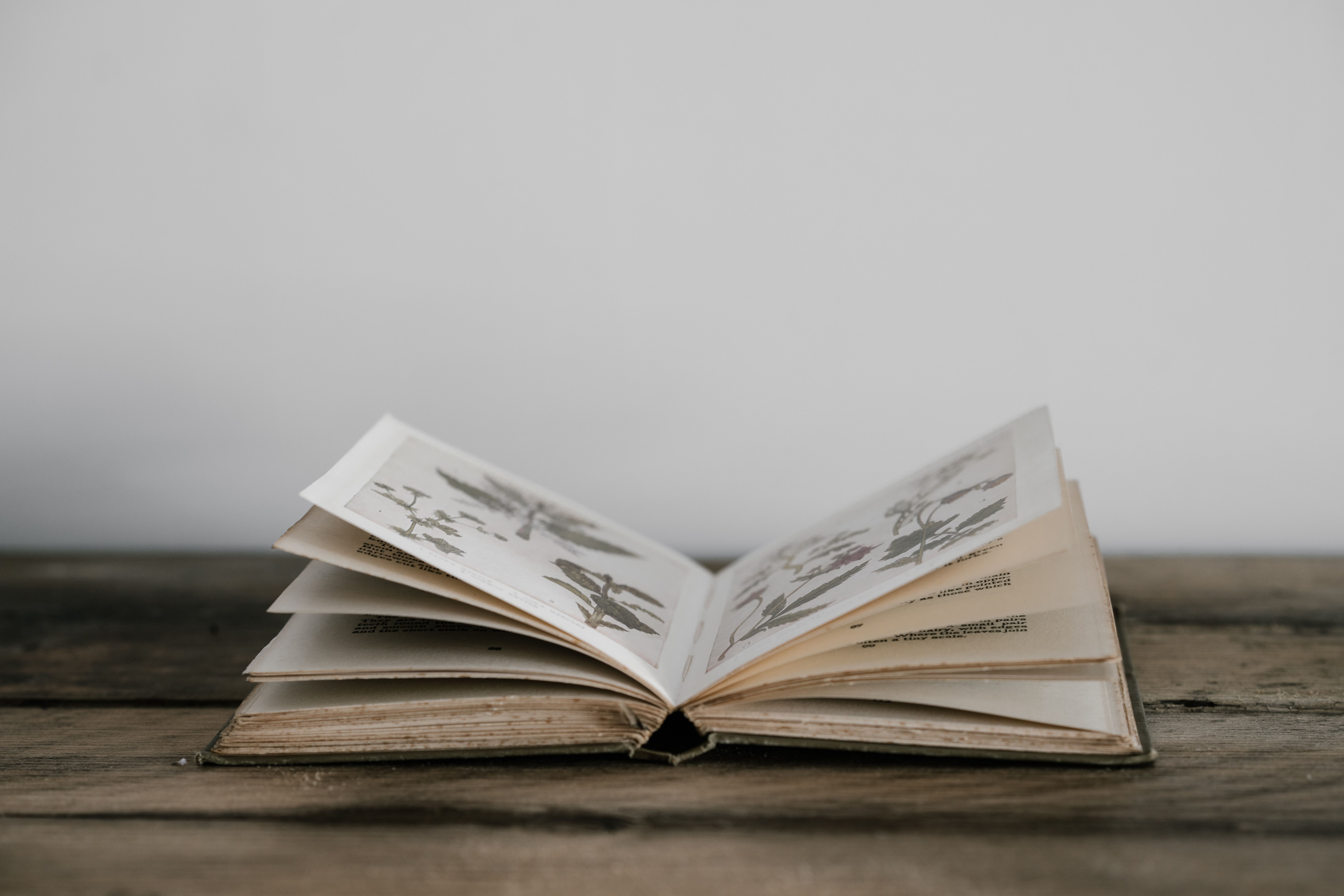 annie-spratt-IQrPWwuTf5M-unsplash